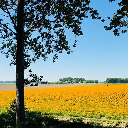 Bed and Breakfast Slapen Bij De Zeeuwse Lala IJzendijke Экстерьер фото
